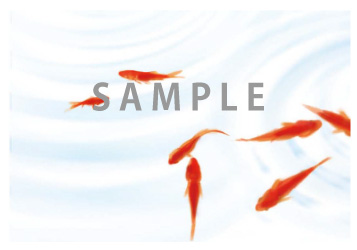 夏イラストはがきテンプレート  金魚イラスト