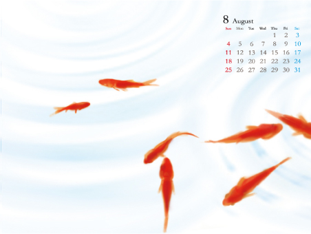 カレンダー壁紙(金魚)(8月)